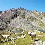 Beim Holzschnitzer-4 By Interhome ゼルデン